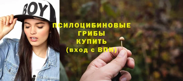 спиды Тобольск