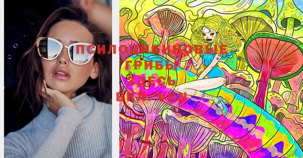 ешки Богданович