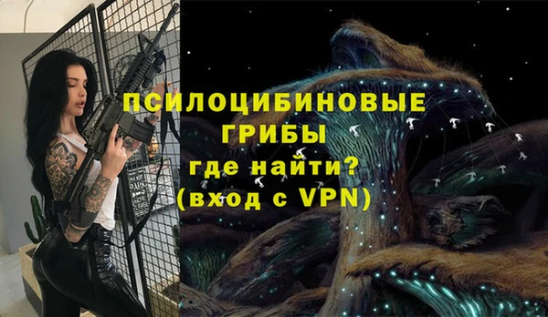 ешки Богданович