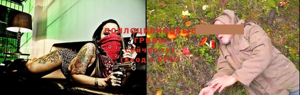 спиды Аркадак